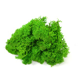Load image into Gallery viewer, 100g Artificial Decorative Moss for Crafting