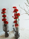 Load image into Gallery viewer, Set of 5 Transparent PVC Gift Bag Rose Bouquet Wrapping Bags