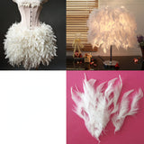 Load image into Gallery viewer, Colored Feather for Crafts DIY Projects 300PCS