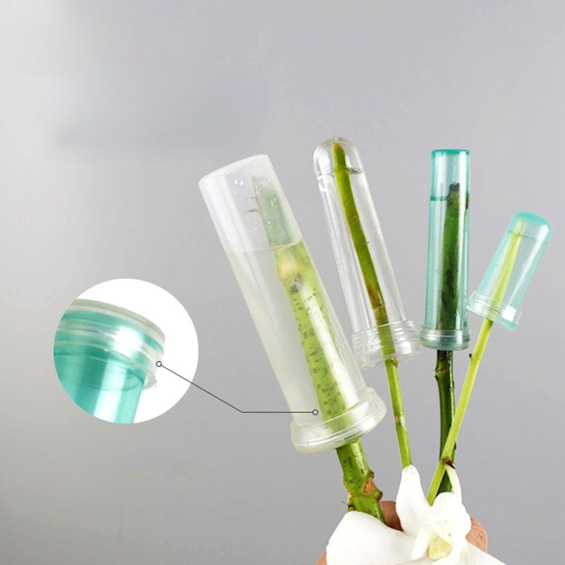 Flower Water Tubes 2.8 Inch Plastic Water Tubes for Flowers Floral Vials  60pcs