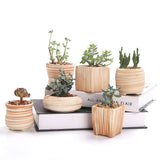 Load image into Gallery viewer, 6 in Set 3 Inch Ceramic Wooden Pattern Succulent Plant Pot Cactus Plant Pot Flower Pot Container Planter Gift Idea