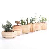 Load image into Gallery viewer, 6 in Set 3 Inch Ceramic Wooden Pattern Succulent Plant Pot Cactus Plant Pot Flower Pot Container Planter Gift Idea