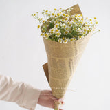 Load image into Gallery viewer, 40 Sheets Newspaper Kraft Paper Sheets for Flower Wrapping 20.8x30.7Inch